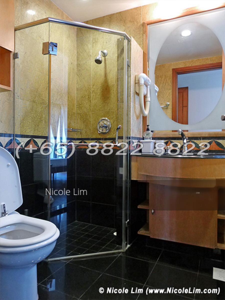 Tanglin View (D3), Condominium #151591462